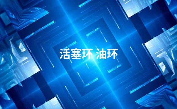 活塞环 油环
